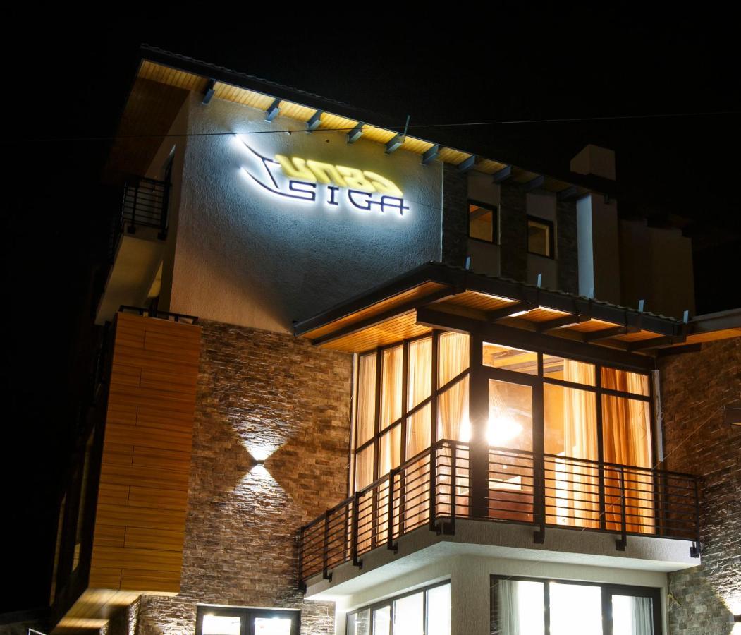Hotel Tsiga Gudauri Εξωτερικό φωτογραφία